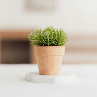 section_sliders-llsuZuurOjs-unsplash